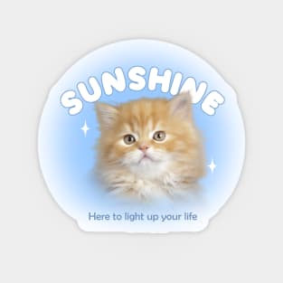 Cat sunshine Sticker